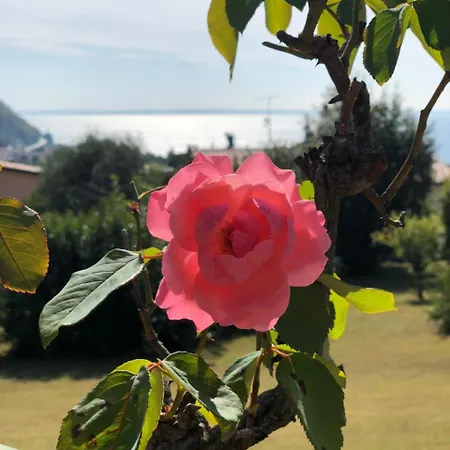 Welcome Traveller Leda * غارْدا