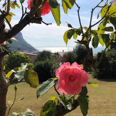 Daire Welcome Traveller Leda *