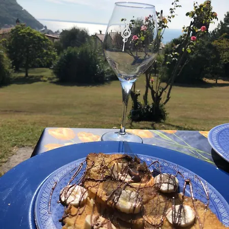 Welcome Traveller Leda Daire Garda (Verona)