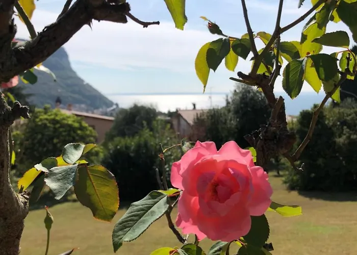 Апартаменты Welcome Traveller Leda *